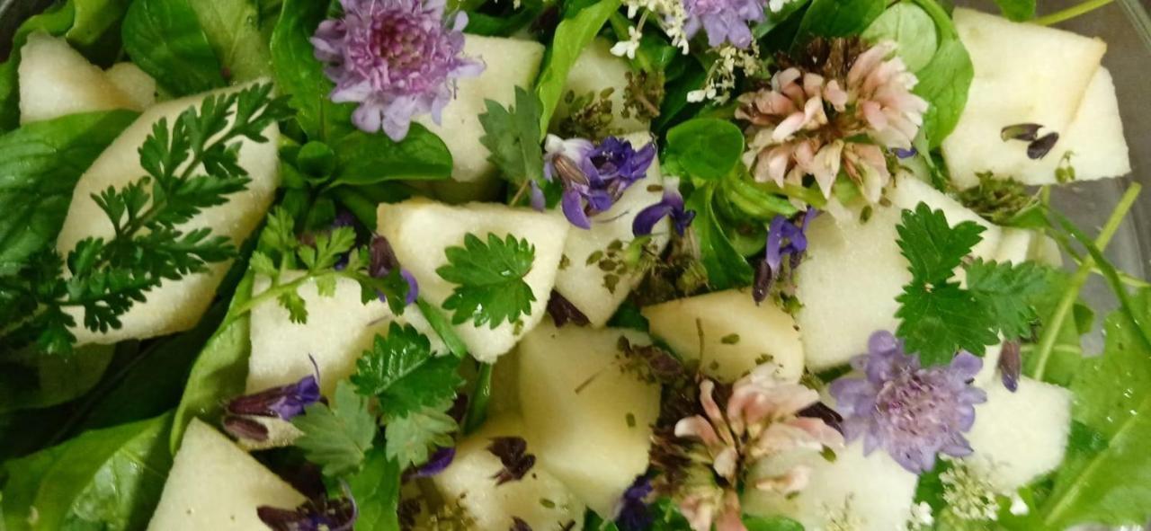Cavriana Agriturismo Con Cucina Tipica Nuova Scardua المظهر الخارجي الصورة