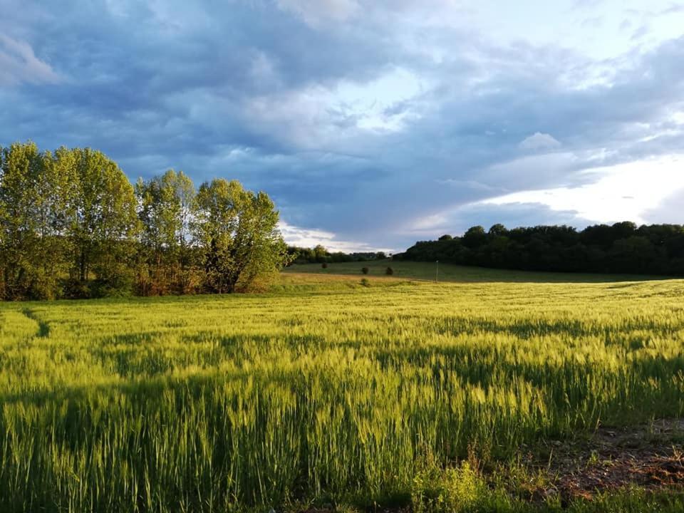 Cavriana Agriturismo Con Cucina Tipica Nuova Scardua المظهر الخارجي الصورة