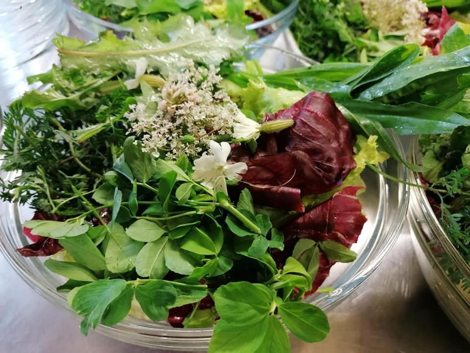 Cavriana Agriturismo Con Cucina Tipica Nuova Scardua المظهر الخارجي الصورة