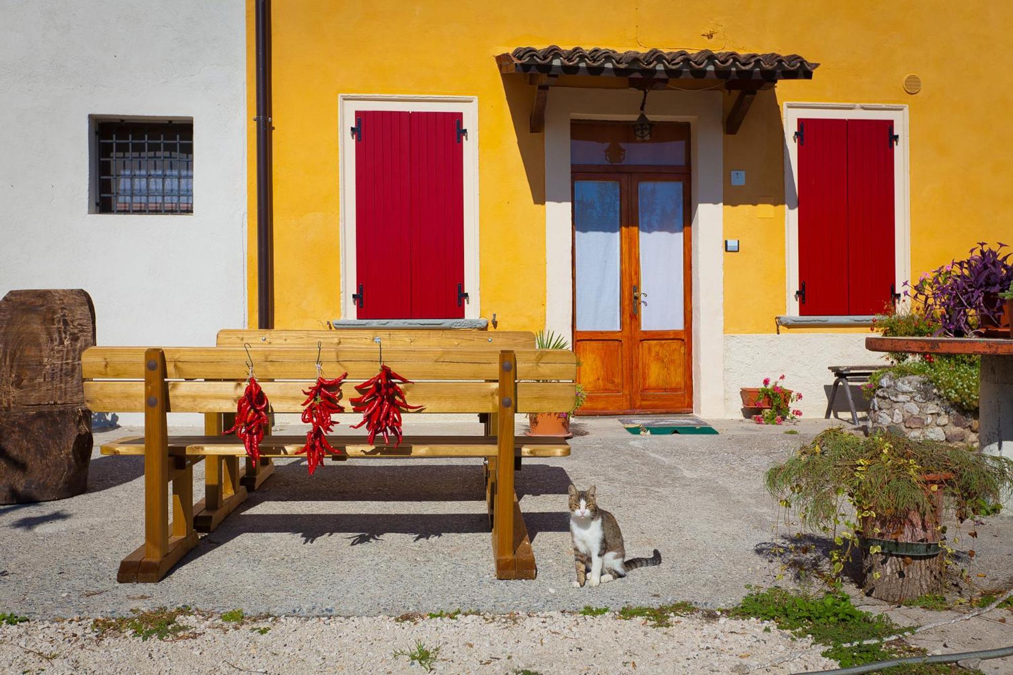 Cavriana Agriturismo Con Cucina Tipica Nuova Scardua المظهر الخارجي الصورة