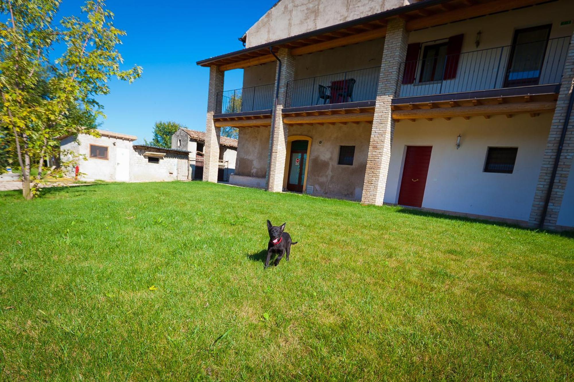 Cavriana Agriturismo Con Cucina Tipica Nuova Scardua المظهر الخارجي الصورة