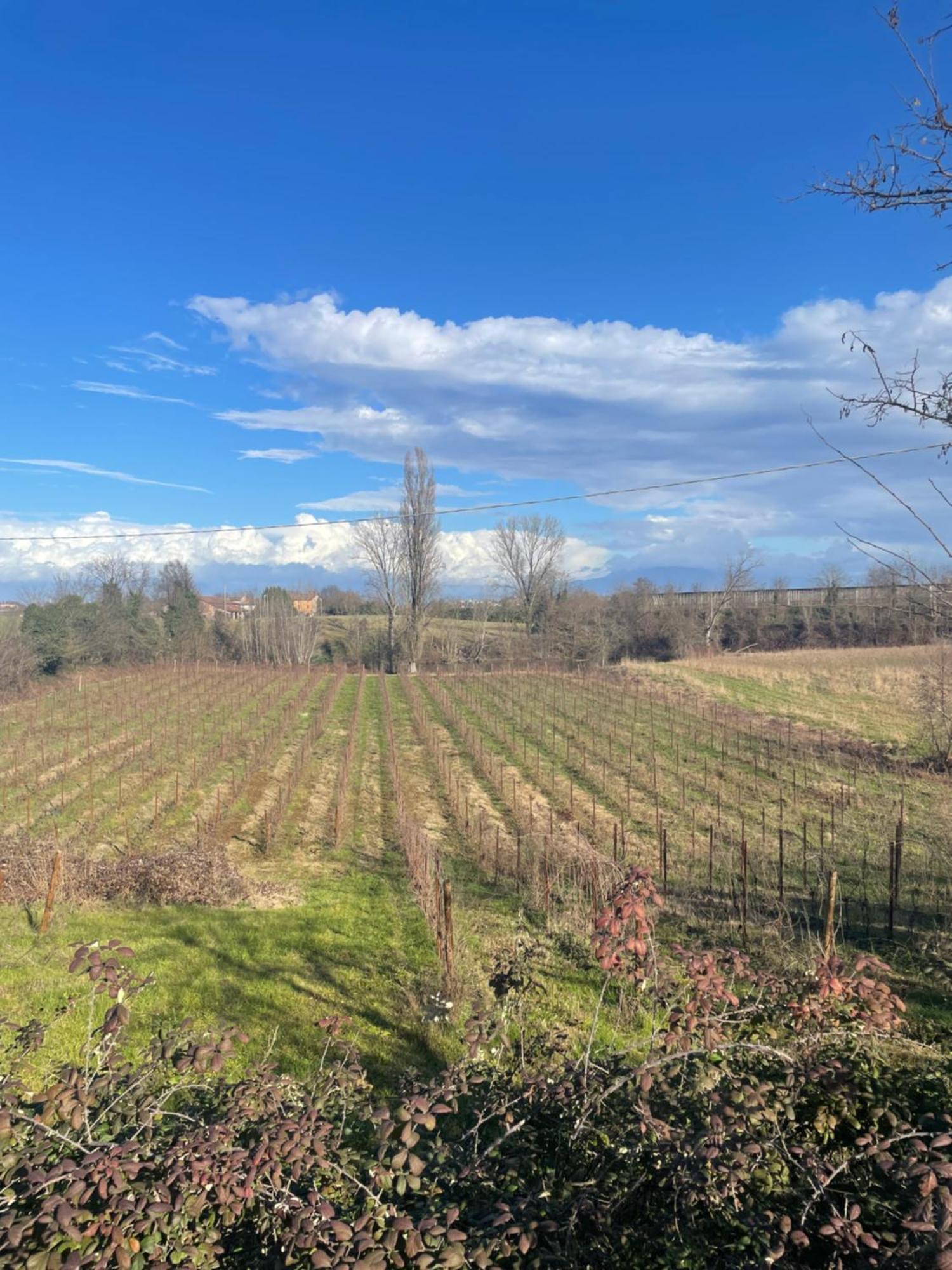 Cavriana Agriturismo Con Cucina Tipica Nuova Scardua المظهر الخارجي الصورة